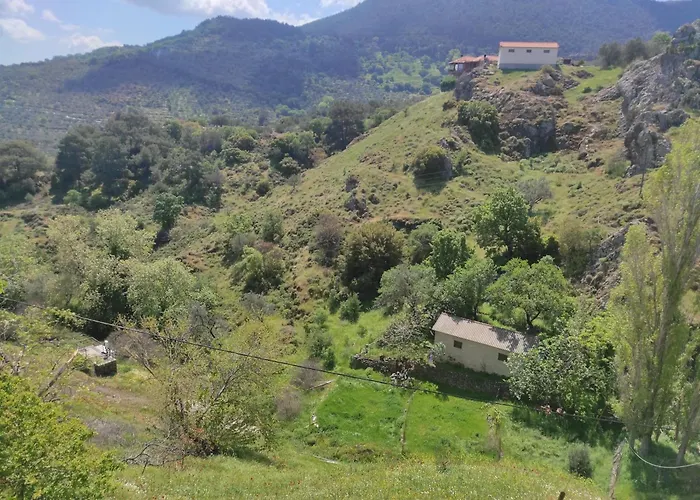 Lafion House